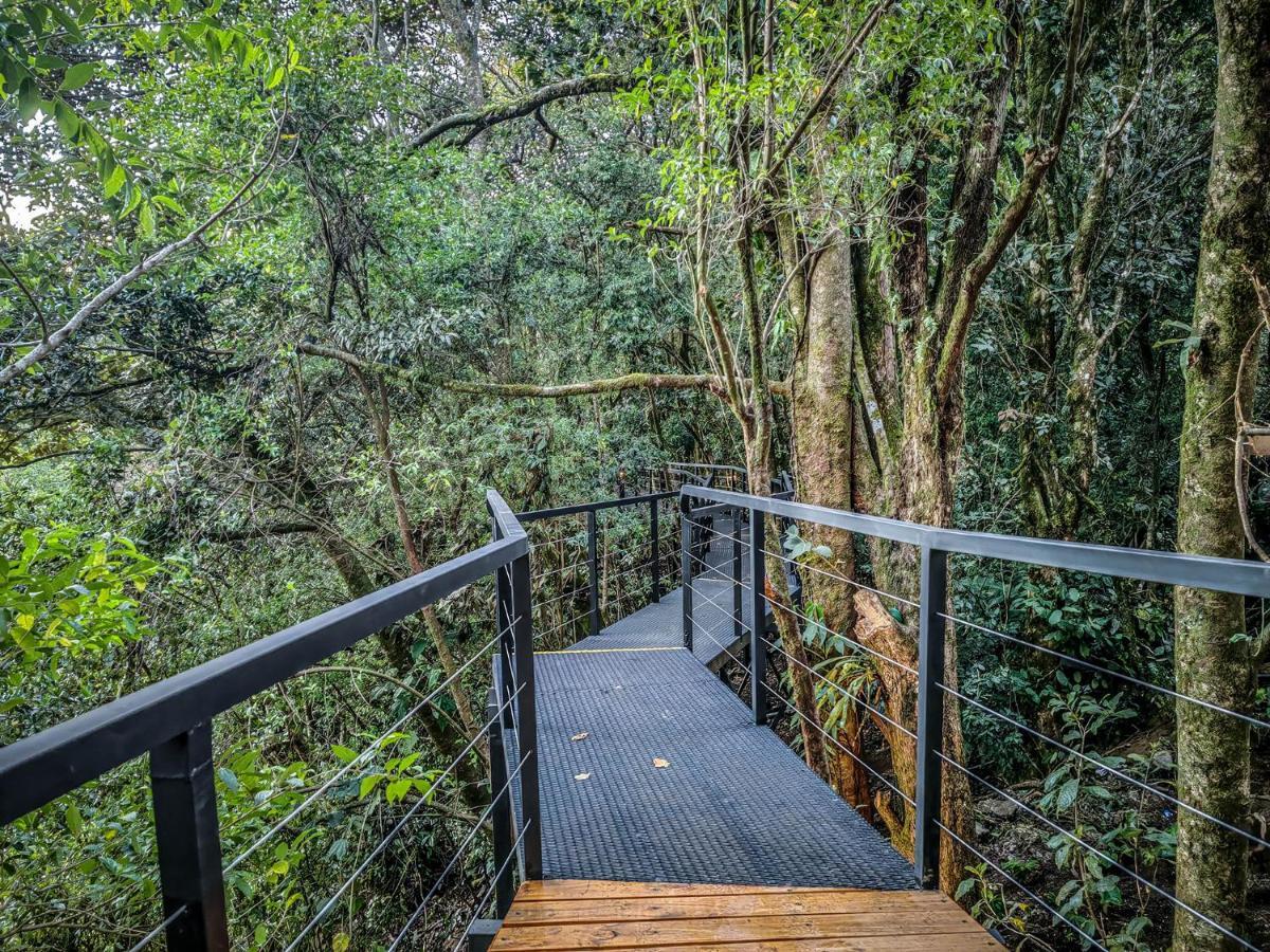 Cloud Forest Lodge By Boeena Monteverde Exterior foto
